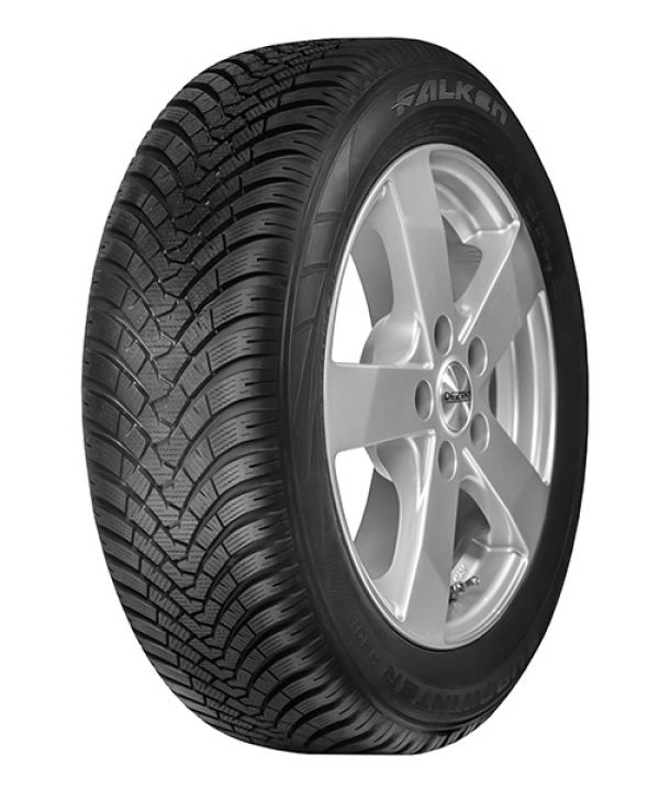 4069_muster_terve Falken Eurowinter Hs01 255/40 R20