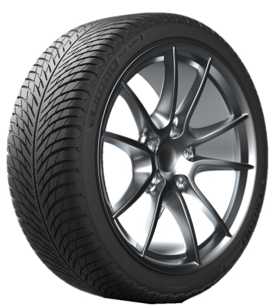 6170_muster_terve-2 Michelin Pilot Alpin 5 225/55 R18