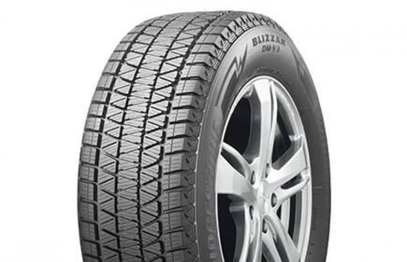 8091_muster_terve-12 Bridgestone Blizzak DM-V3 285/65 R17
