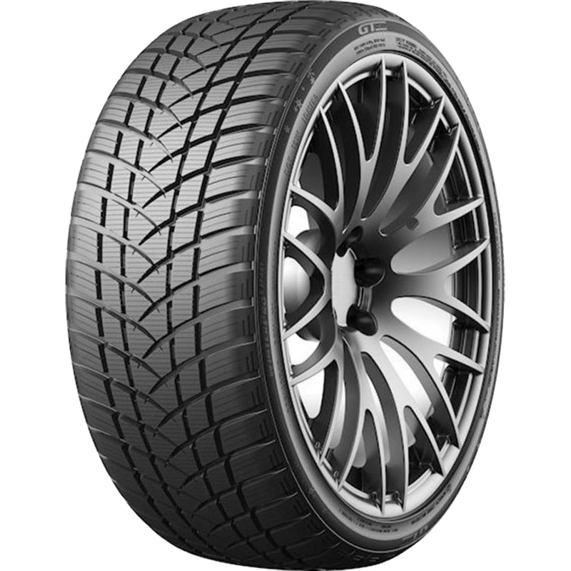 8193_muster_terve GT Radial Winterpro2sport 225/55 R17