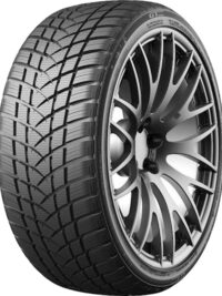 GT Radial Winterpro2sport 205/40 R17