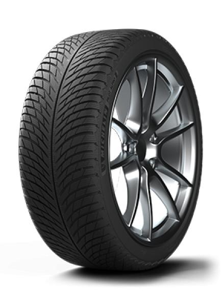 4609_muster_terve Michelin Pilot Alpin 5 315/40 R21